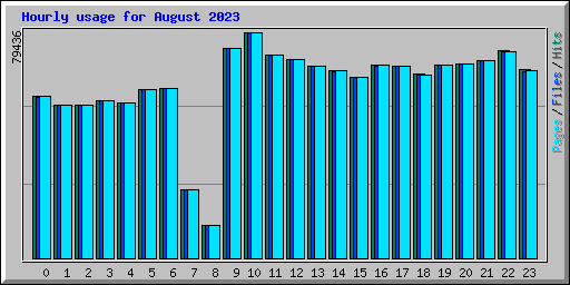 Hourly usage for August 2023