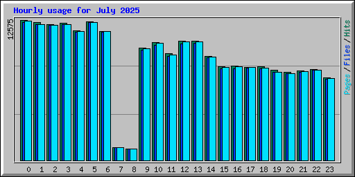 Hourly usage for July 2025