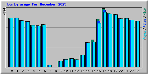 Hourly usage for December 2025