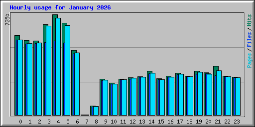 Hourly usage for January 2026