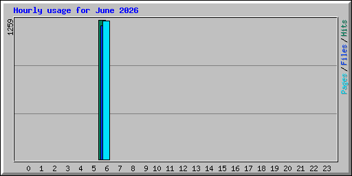 Hourly usage for June 2026